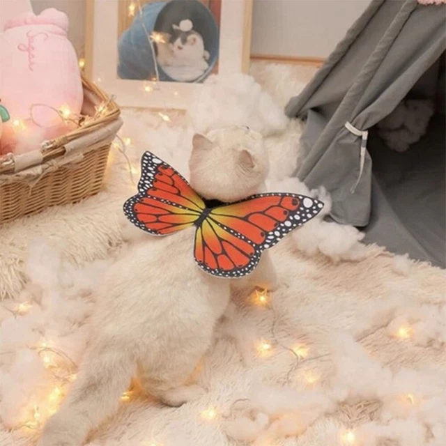 Hund Santa Kostüm Katzenkostüm Cosplay-Kostüm Welpen-Outfits