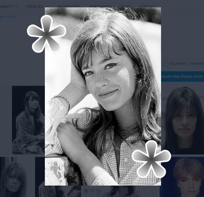 PHOTO FRANCOISE HARDY  CHANTEUSE REPRODUCTION 