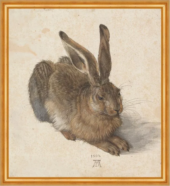 Der Feldhase Albrecht Dürer Hase LW Alte Meister A1 066