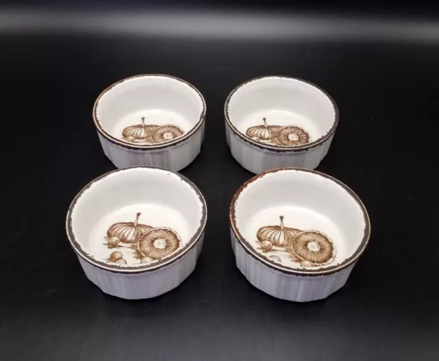 Set 4 rami in ceramica gruppo Midwinter Wedgwood vintage