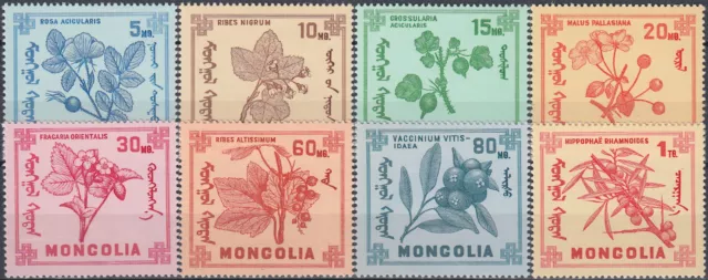 Mongolia Berry Plants 1968 MNH-5 Euro