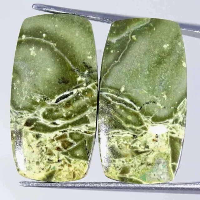 18.30Cts Natural Green Crazy Lace Agate Cushion Pair Cabochon Loose Gemstone