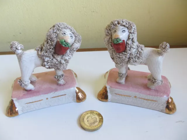 Poodle Dog Pair Antique Old Staffordshire Pottery White Dogs With Flower Basket
