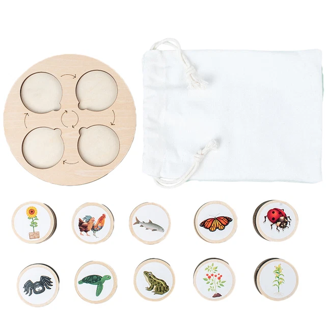 WOODEN LIFE CYCLE Tray Montessori Life Cycle Puzzle Kit of Animals ...