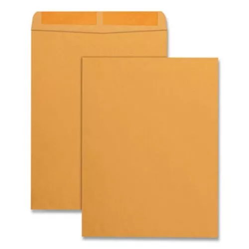 Quality Park™ Catalog Envelope, 10 x 13, Brown Kraft, 100/Box (QUA41667)