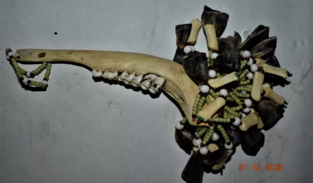 ORIG $399 POWERFUL INUIT deer JAW BONE RATTLE, 9"