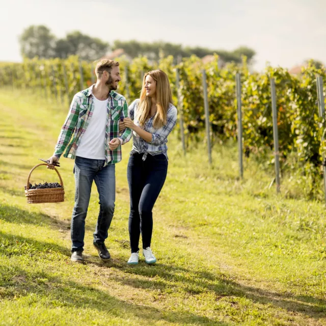 Kurzreise Bad Dürkheim 3T | Reisegutschein Pfalz 2 Personen + Frühstück 4* Hotel