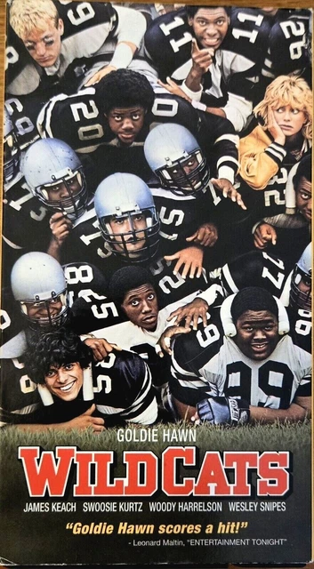 WILDCATS (VHS) 1986 Goldie Hawn, Swoosie Kurtz, Robyn Lively £4.47