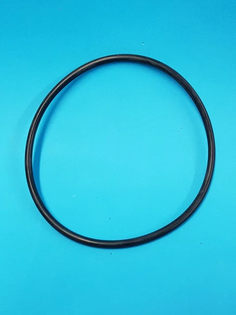 E-SERIES PUMP LID ASSY WITH ORING - Everclear Pools SA - Foto 14