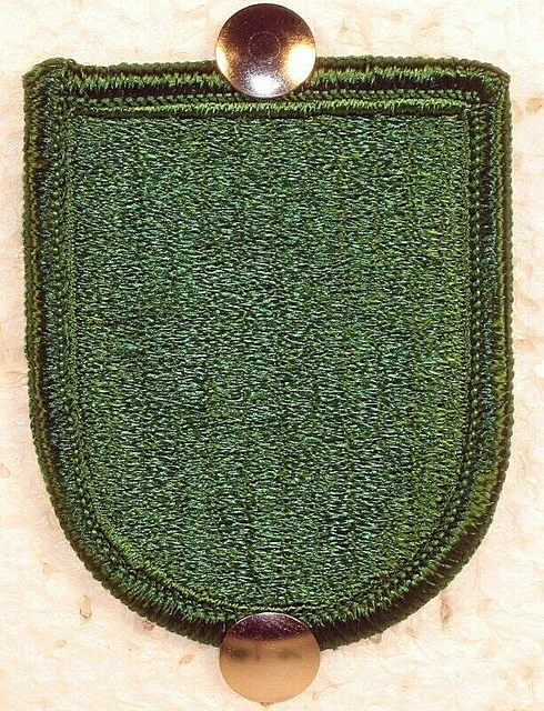 10TH SPECIAL FORCES GROUP BERET FLASH DI CREST OVAL JUMP WINGS 
