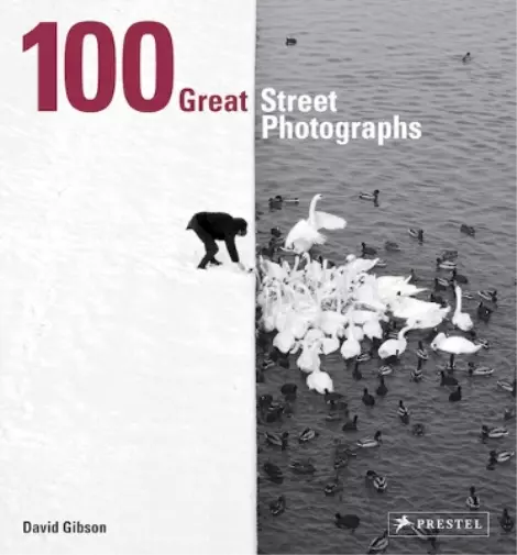 David Gibson 100 Great Street Photographs (Taschenbuch)