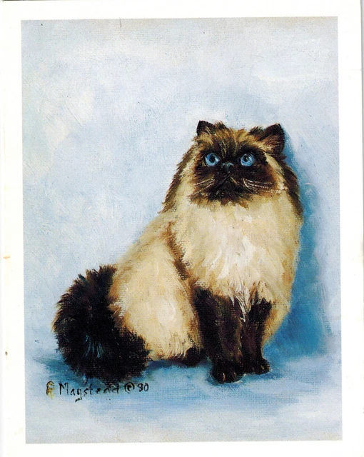 New Himalayan Cat Notecard Set - 6 Blank Note Cards By Artist Ruth Maystead