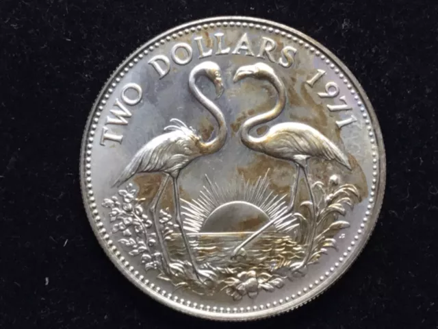 1971 The BAHAMAS SILVER $2  Large Coin Elizabeth II FLAMINGO Bird GOLD TONED 2