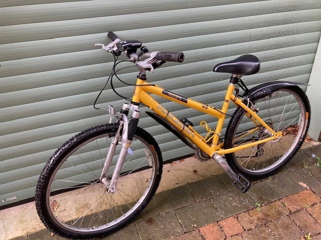 Ladies bike very best sale