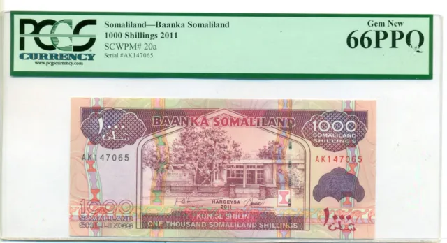 Somaliland 2011 1000 Shillings Bank Note Gem New 66 PPQ PCGS Currency