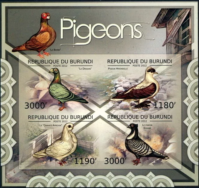 BURUNDI 2012 MNH imperf 4v SS, Pigeon, Birds  [F1]