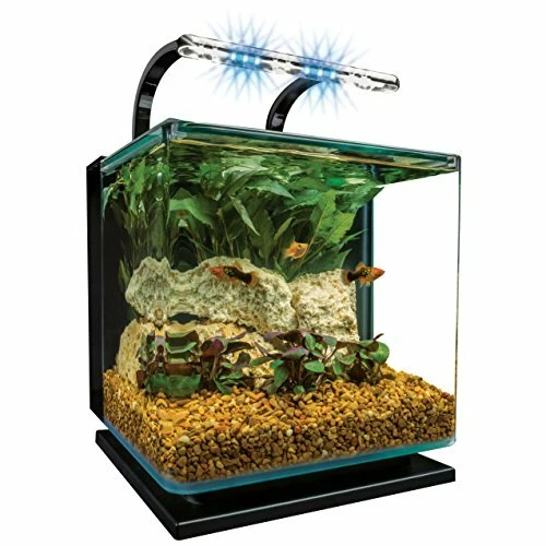 Contour 3 aquarium Kit 3 Gallons, Rounded Glass Corners, Includes LED Lighting