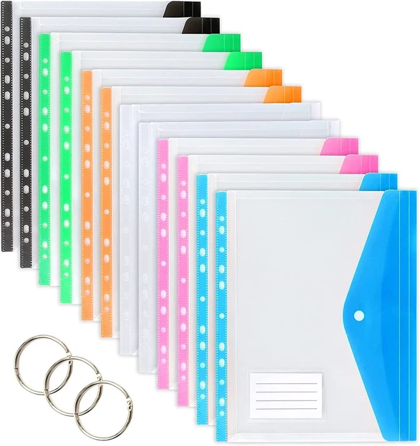 Dentedeleao Lot De 12 Pochettes Projet A4 11 Couleurs – Chemises Plastique Transparentes 2 Trous, Organisatrices Documents Bureau École