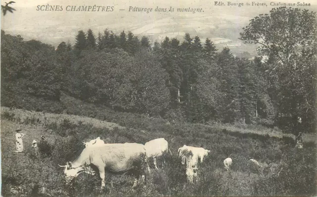 Cp Scenes Champetres Paturage Dans La Montagne - Vaches