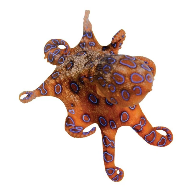 SLICK WOODY'S 30& Octopus Vinyl Underwater Pool Mat Tattoo in Orange