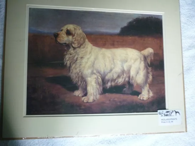 Clumber Spaniel dog print from a painting by E Megargee, mounted for framing