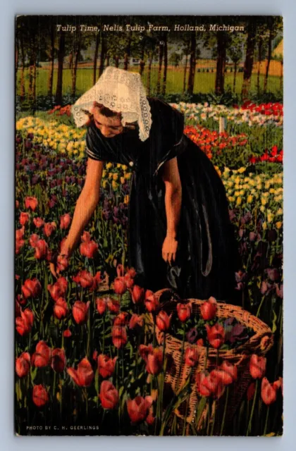 Postcard Vtg Michigan Holland Tulip Time Nelis Farm Woman Picking Flowers