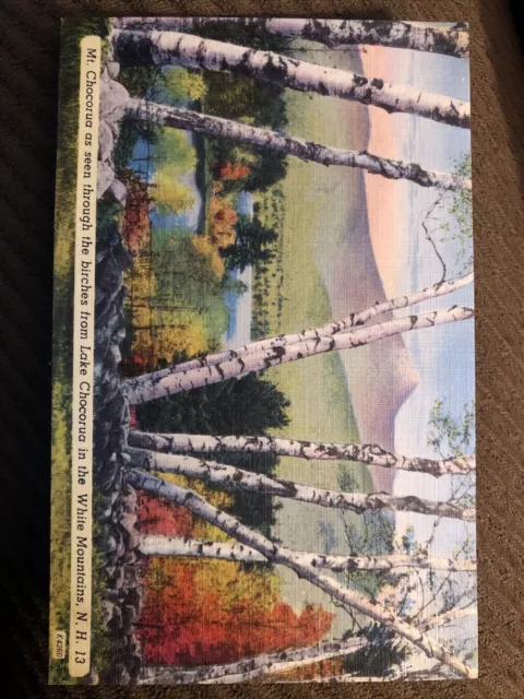 Vintage Linen Postcard Mt. Chocorua Through Birches In The White Mtns. NH c1930s