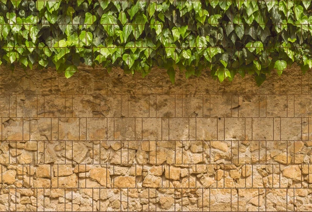 Bedruckter Sichtschutz EFEU & MAUER