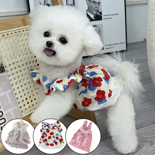 Robe Princesse Mignonne Pour Chien Et Petit Chien En Dentelle De Coton R