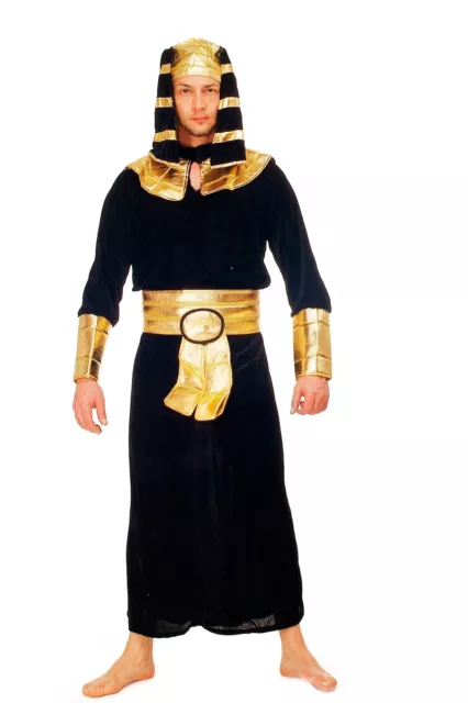 DRESS ME UP Like A Eyptian! Costume Faraone Egiziani Ramses Mumie Uomo Nuovo K47