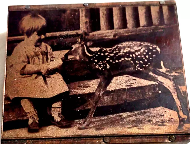 Letterpress Printing Block Cut Stamp Girl Feeding Baby Deer Fawn Wood Metal VTG