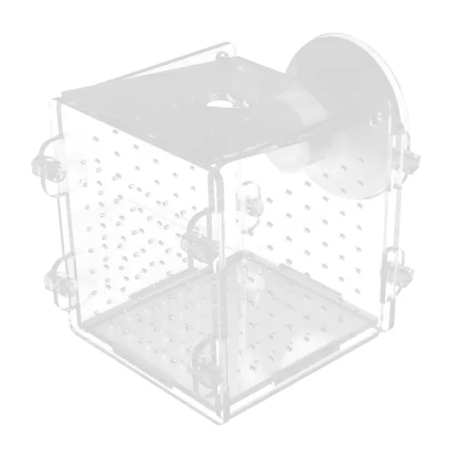 Aquarium   Tank Guppy Breeding Breeder Rearing Box Hatchery Clear