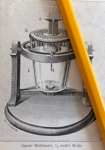 Glossometer 1897 Legros Charton Bienen Zunge Imker Saugrüssel Imkerei Zucht 1239