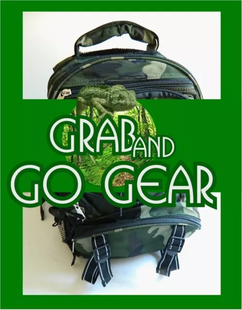 Premium Domain Name for Sale Grab and Go Gear.com PREMIUM BRANDABLE Aged 2010