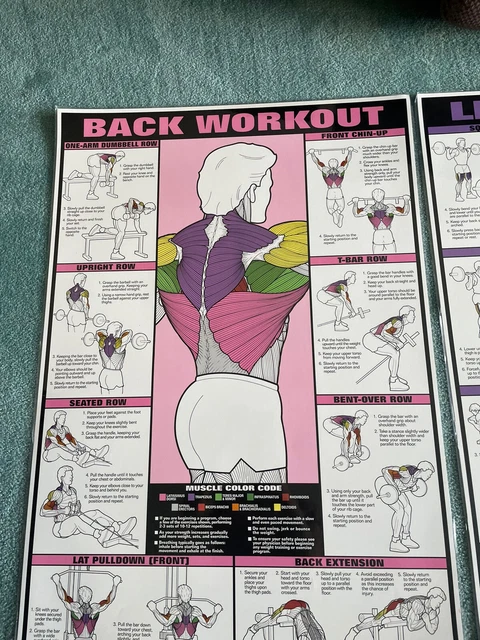 4 Pack - 2'x3' Dumbbell Barbell Exercise Posters Chart Body Musceles