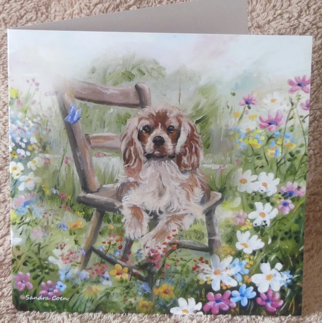 Cavalier King Charles Spaniel Dog Greeting Card 12 Sandra Coen Artist