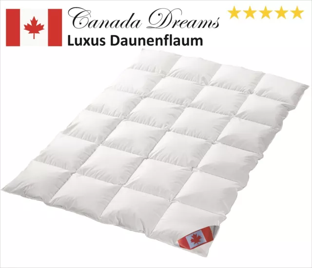 Neu Canada Dreams Luxus Ganzjahres Daunendecke Wärmegrad 3 135x200 cm CD3