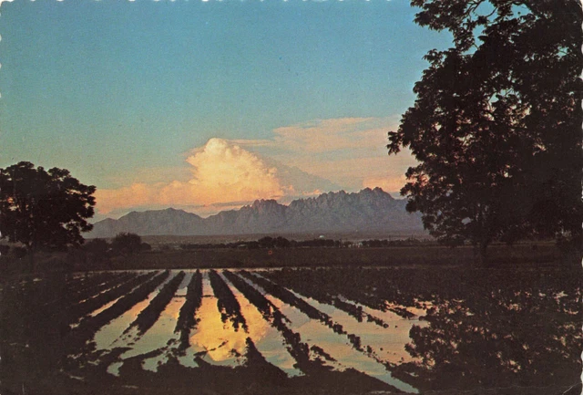Postcard NM Las Cruces The Crosses Sunset Organ Mountains Chihuahuan Desert