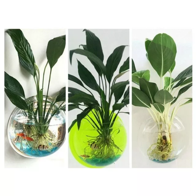 Hanging Wall Fish Tank Mounted Clear Bowl Bubble Aquarium Terrarium Goldfish Box 2