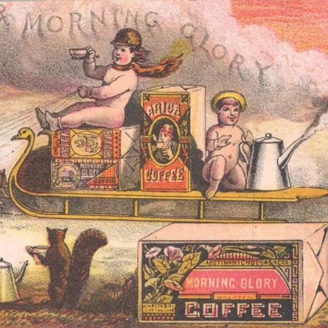 1880s Morning Glory Arabica Coffee Java Maracaibo Rio Austin Nichols Trade Card