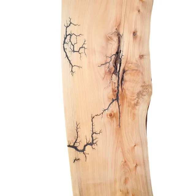 Tasmanian Macrocarpa Craft Wood Woodworking Board Timber Slab Fractal blank