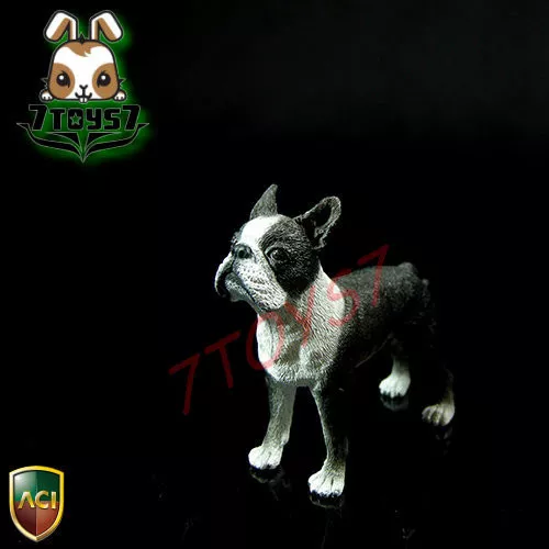 ACI Toys 1/6 Dog_ Boston Terrier _Animal Pet Diorama Bid AT068Z