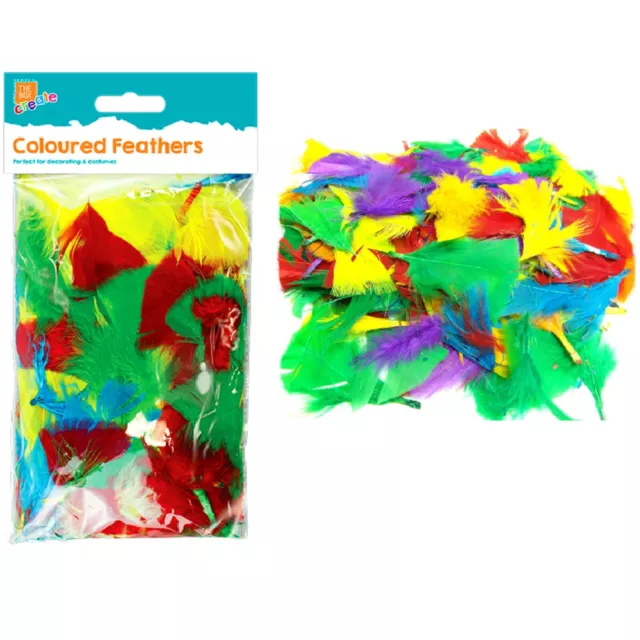 COLOURED CRAFT FEATHERS Large Small Fluffy Childrens Arts Craft Hat Decor UK