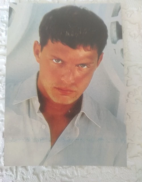 Luis Miguel Card Sticker Cromy  Argentina  Novato