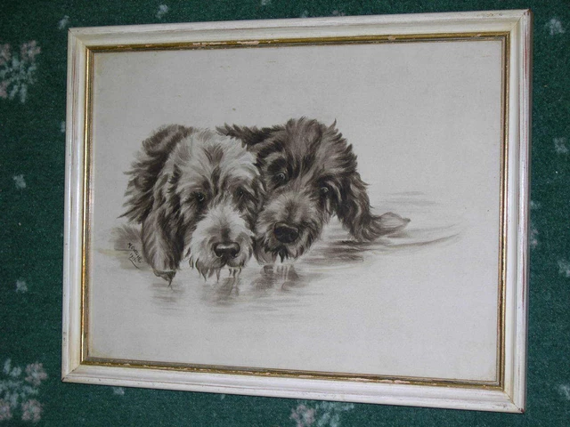 Orig Antique Watercolour Painting Of 2 Otterhounds Otter Hound Signed Dated 1911
