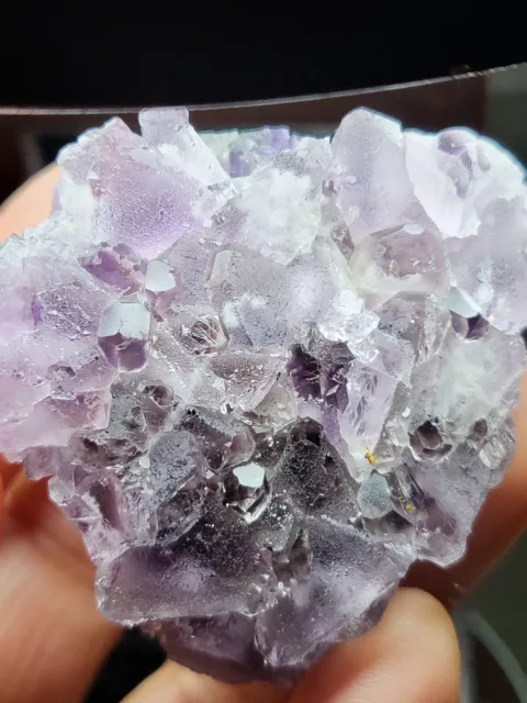 New Find Purple Edges Phantom Cubic Fluorite Quartz Crystal Cluster