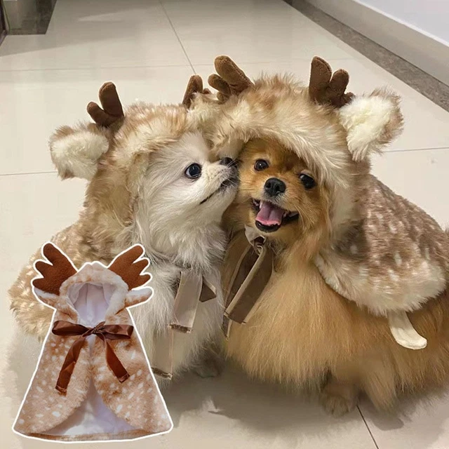 Novelty sales dog coats