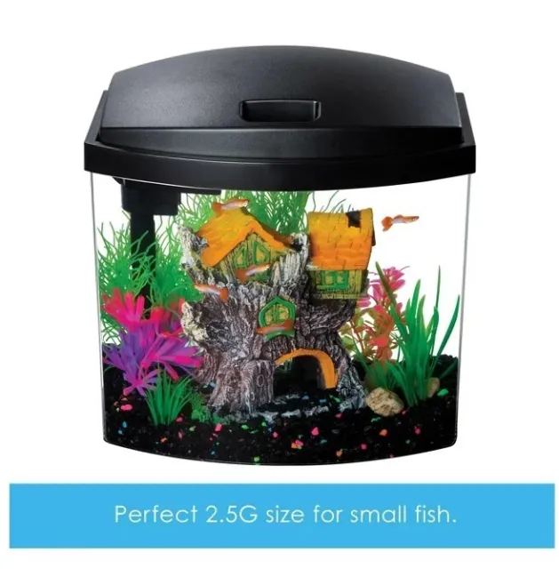 2.5 Gallon Aquarium Starter Kit Glass Plants Fish Tank Black Hood Small Office