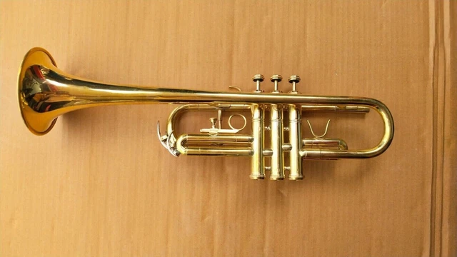 Trompette Bb Pour Débutants SONICAKE - Laiton Doré, Embouchure 7C, Avec étui Rigide Et Kit De Nettoyage (QTP-01) - 9
