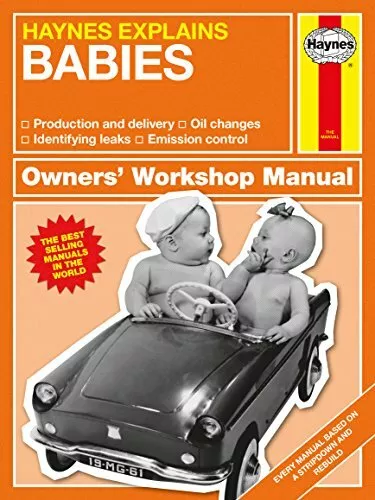 Babies - Haynes Explains (Mini Manual),Boris Starling